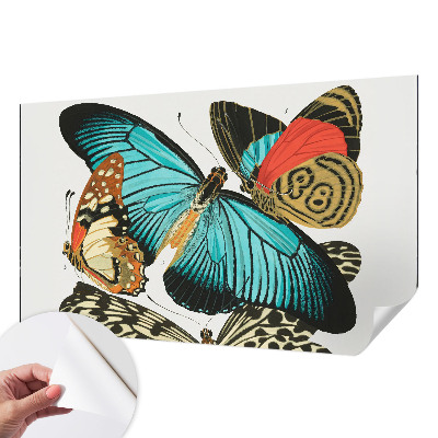 Peel and stick wall mural Colorful butterflies