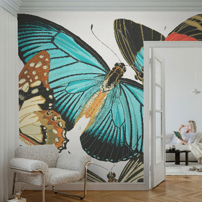 Peel and stick wall mural Colorful butterflies