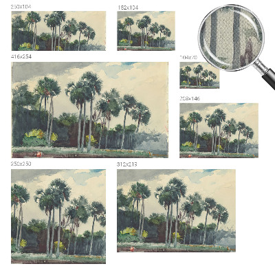 Self-adhesive photo wallpaper Exotic palm trees