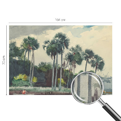 Self-adhesive photo wallpaper Exotic palm trees