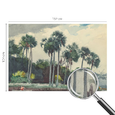 Self-adhesive photo wallpaper Exotic palm trees