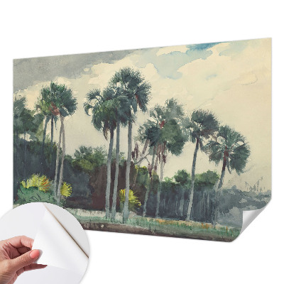 Self-adhesive photo wallpaper Exotic palm trees