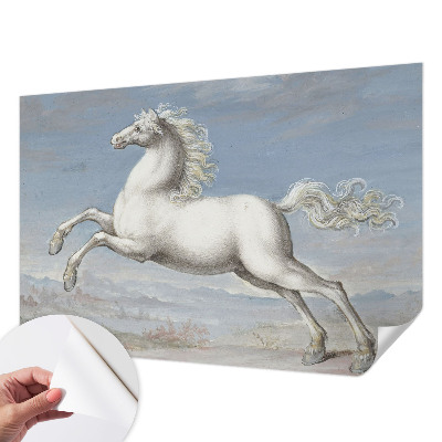 Removable wall mural featuring a horse jumping scene