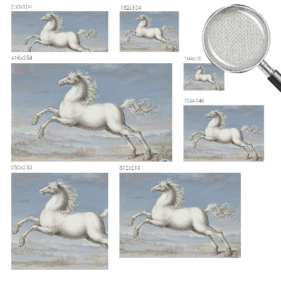 Removable wall mural featuring a horse jumping scene