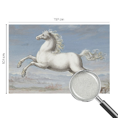Removable wall mural featuring a horse jumping scene