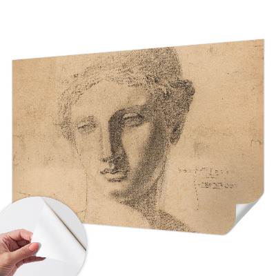 Peel and stick wallpaper mural Female portrait