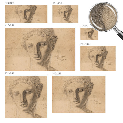 Peel and stick wallpaper mural featuring a female portrait
