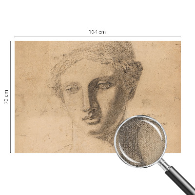 Peel and stick wallpaper mural featuring a female portrait