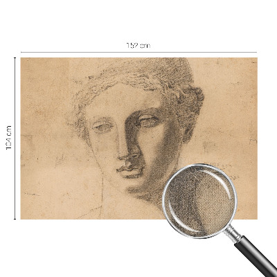 Peel and stick wallpaper mural featuring a female portrait