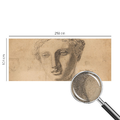 Peel and stick wallpaper mural Female portrait