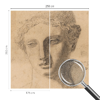 Peel and stick wallpaper mural Female portrait