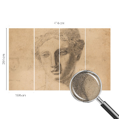 Peel and stick wallpaper mural Female portrait