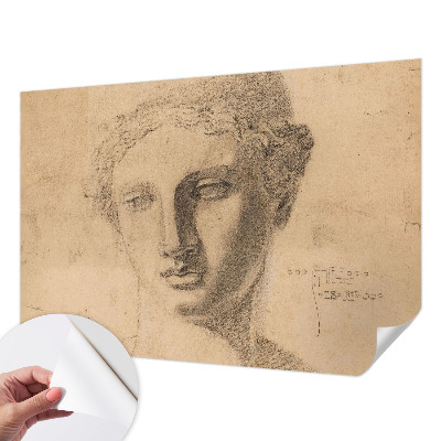 Peel and stick wallpaper mural Female portrait