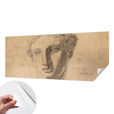 Peel and stick wallpaper mural Female portrait