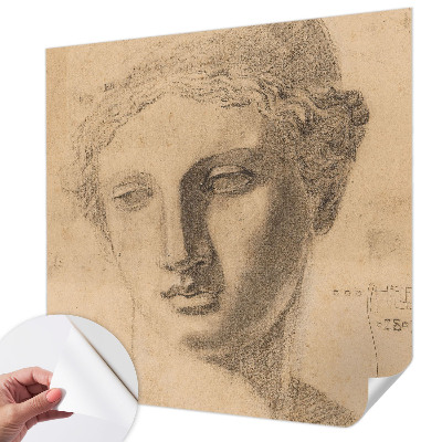 Peel and stick wallpaper mural Female portrait