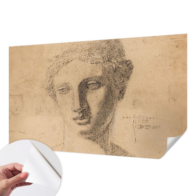 Peel and stick wallpaper mural featuring a female portrait