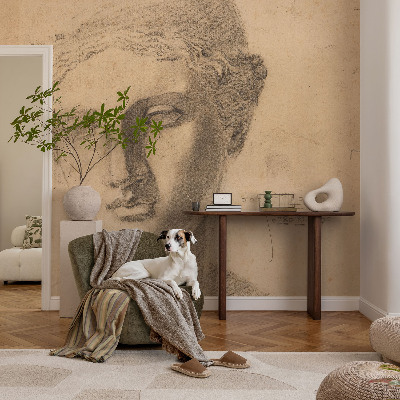 Peel and stick wallpaper mural featuring a female portrait
