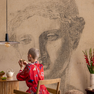 Peel and stick wallpaper mural featuring a female portrait