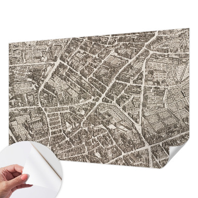 Peel and stick wall mural Urban maze