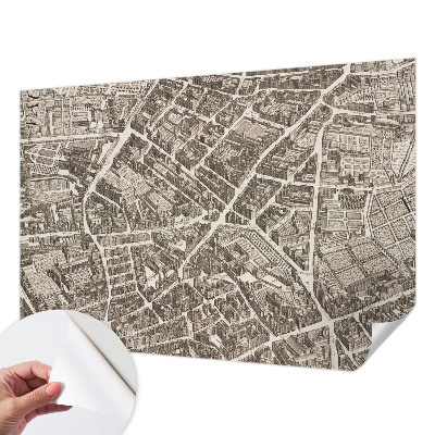 Peel and stick wall mural with an urban maze design