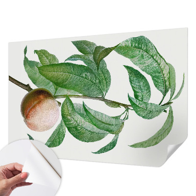Children's wall mural with a ripe peach motif