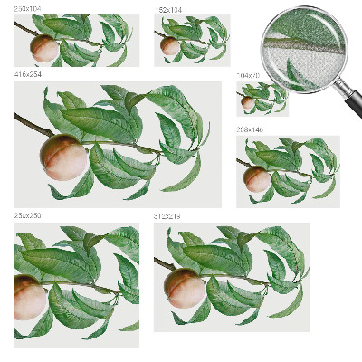 Children's wall mural Ripe peach