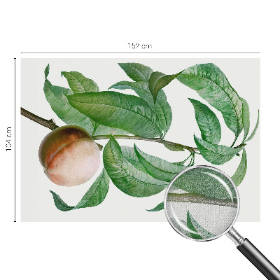 Children's wall mural Ripe peach