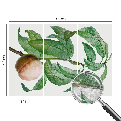 Children's wall mural Ripe peach