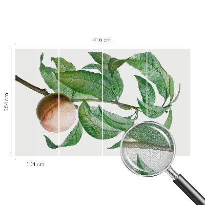 Children's wall mural with a ripe peach motif