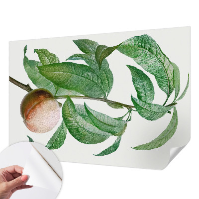 Children's wall mural Ripe peach