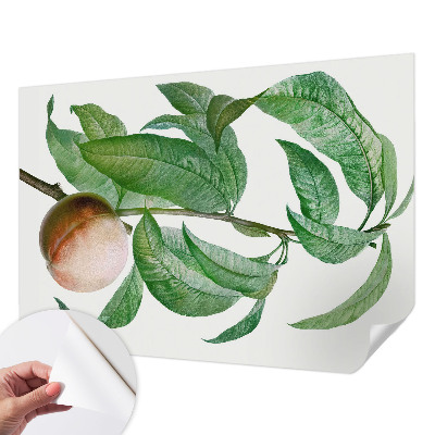 Children's wall mural with a ripe peach motif