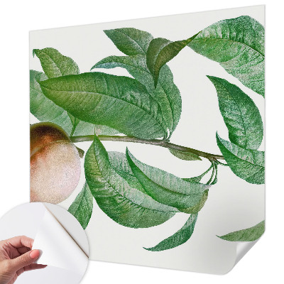 Children's wall mural with a ripe peach motif