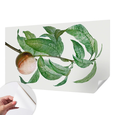 Children's wall mural with a ripe peach motif
