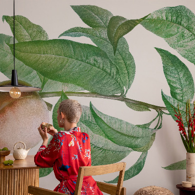 Children's wall mural with a ripe peach motif