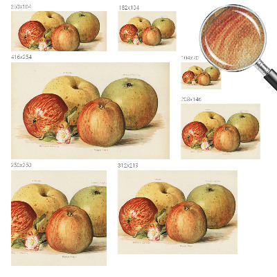 Baby room wall mural Apple blossoms