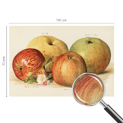 Baby room wall mural Apple blossoms