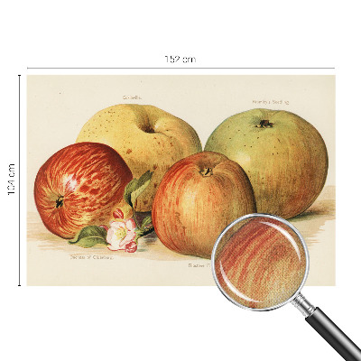 Baby room wall mural with apple blossom design