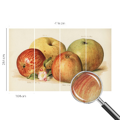 Baby room wall mural with apple blossom design