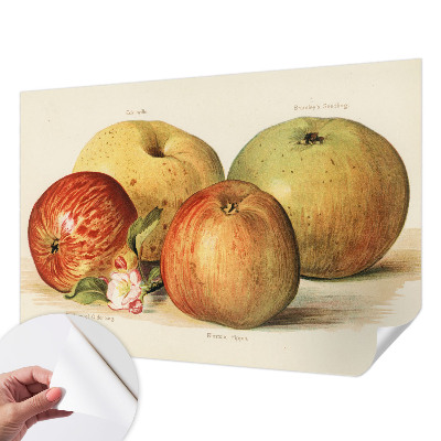 Baby room wall mural Apple blossoms