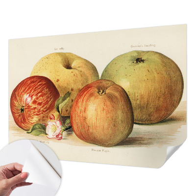 Baby room wall mural with apple blossom design