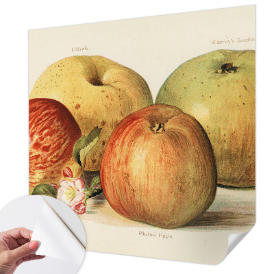 Baby room wall mural with apple blossom design