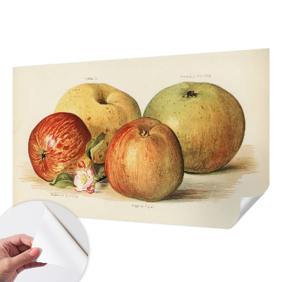 Baby room wall mural Apple blossoms