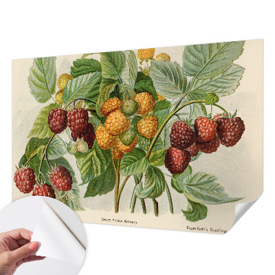 Peel and stick wall mural with a classic raspberry pattern