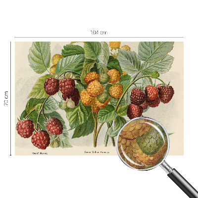 Peel and stick wall mural with a classic raspberry pattern