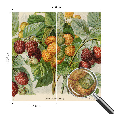 Peel and stick wall mural with a classic raspberry pattern