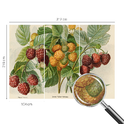 Peel and stick wall mural with a classic raspberry pattern