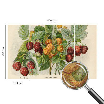 Peel and stick wall mural with a classic raspberry pattern
