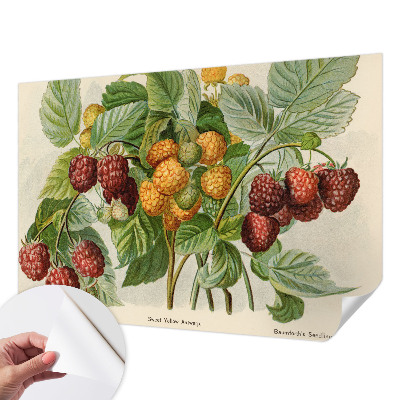 Peel and stick wall mural Classic raspberries