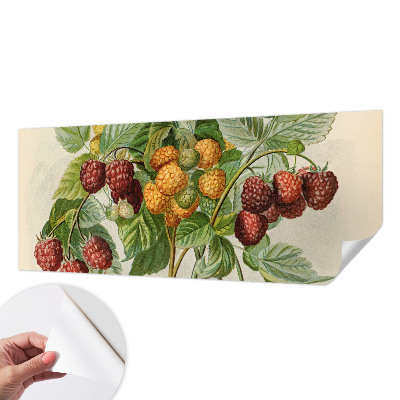 Peel and stick wall mural with a classic raspberry pattern