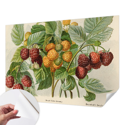 Peel and stick wall mural with a classic raspberry pattern